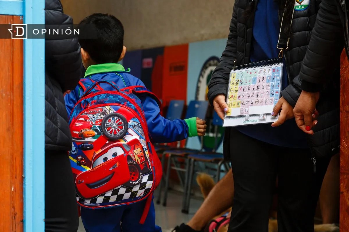 EL TEA Y LA INCLUSION