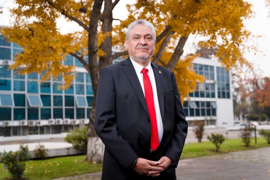 RECTOR PALOMINOS